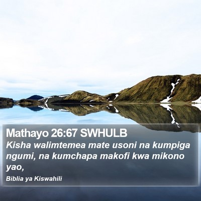 Mathayo 26:67 SWHULB Bible Verse Image