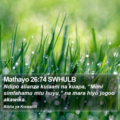 Mathayo 26:74 SWHULB Bible Verse Image