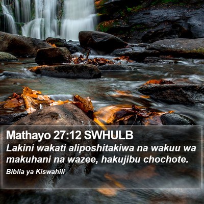 Mathayo 27:12 SWHULB Bible Verse Image