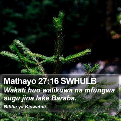 Mathayo 27:16 SWHULB Bible Verse Image