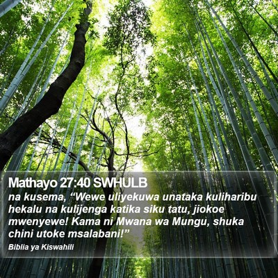 Mathayo 27:40 SWHULB Bible Verse Image