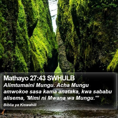 Mathayo 27:43 SWHULB Bible Verse Image