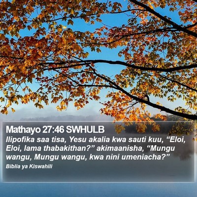 Mathayo 27:46 SWHULB Bible Verse Image