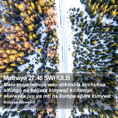Mathayo 27:48 SWHULB Bible Verse Image