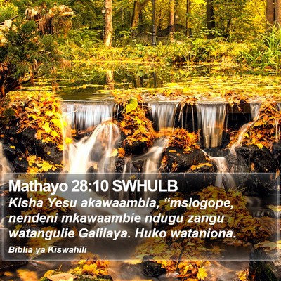 Mathayo 28:10 SWHULB Bible Verse Image