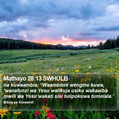 Mathayo 28:13 SWHULB Bible Verse Image