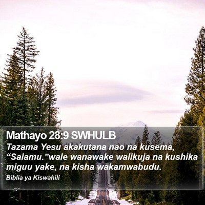 Mathayo 28:9 SWHULB Bible Verse Image