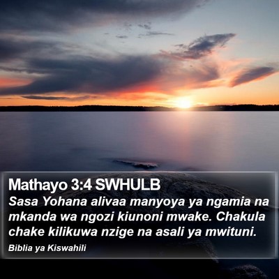 Mathayo 3:4 SWHULB Bible Verse Image