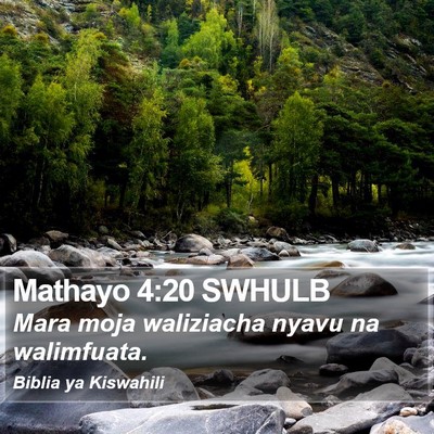 Mathayo 4:20 SWHULB Bible Verse Image