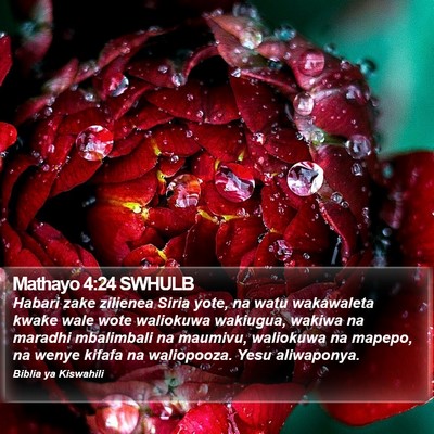 Mathayo 4:24 SWHULB Bible Verse Image