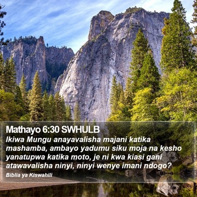 Mathayo 6:30 SWHULB Bible Verse Image