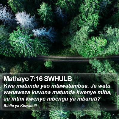 Mathayo 7:16 SWHULB Bible Verse Image