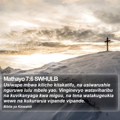 Mathayo 7:6 SWHULB Bible Verse Image