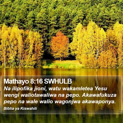 Mathayo 8:16 SWHULB Bible Verse Image