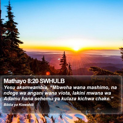 Mathayo 8:20 SWHULB Bible Verse Image