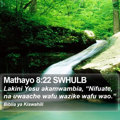 Mathayo 8:22 SWHULB Bible Verse Image