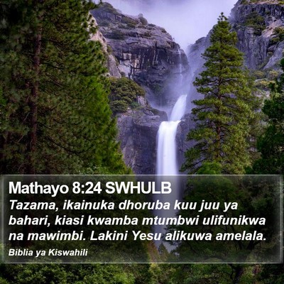 Mathayo 8:24 SWHULB Bible Verse Image