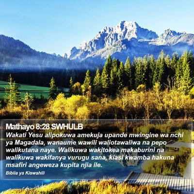 Mathayo 8:28 SWHULB Bible Verse Image