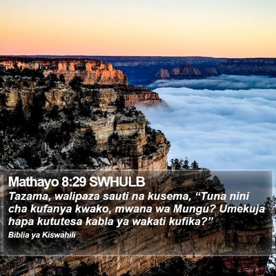 Mathayo 8:29 SWHULB Bible Verse Image