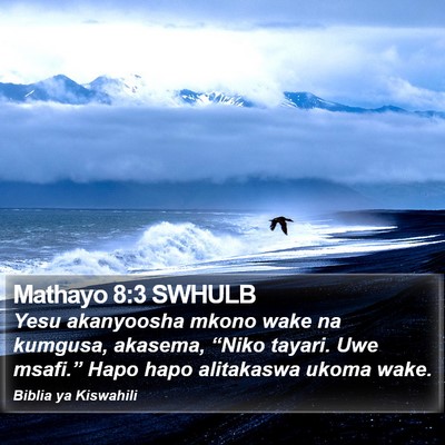 Mathayo 8:3 SWHULB Bible Verse Image