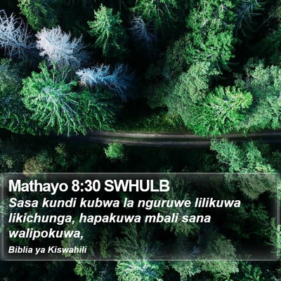 Mathayo 8:30 SWHULB Bible Verse Image