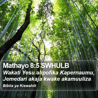 Mathayo 8:5 SWHULB Bible Verse Image