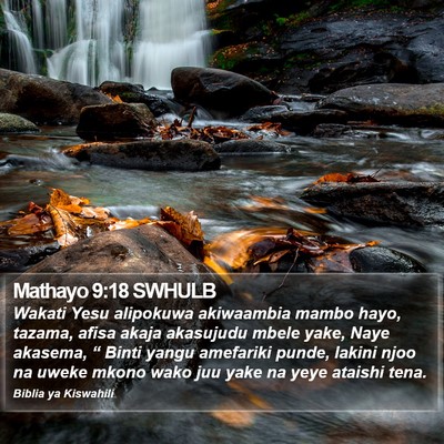 Mathayo 9:18 SWHULB Bible Verse Image