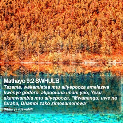 Mathayo 9:2 SWHULB Bible Verse Image