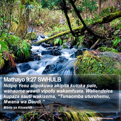 Mathayo 9:27 SWHULB Bible Verse Image