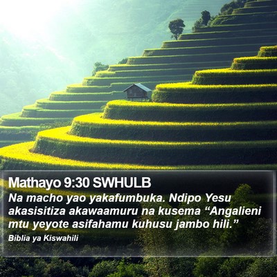 Mathayo 9:30 SWHULB Bible Verse Image