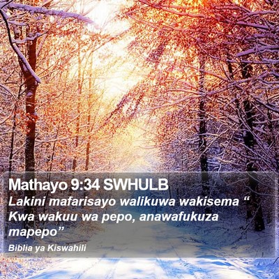 Mathayo 9:34 SWHULB Bible Verse Image