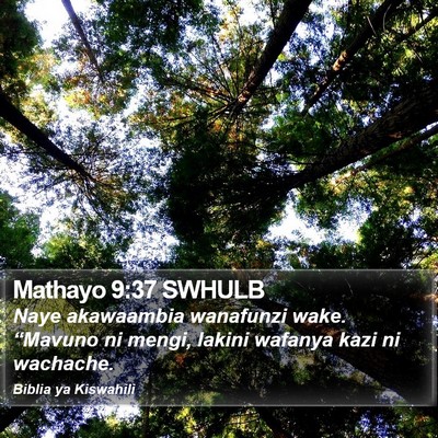 Mathayo 9:37 SWHULB Bible Verse Image