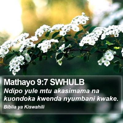 Mathayo 9:7 SWHULB Bible Verse Image