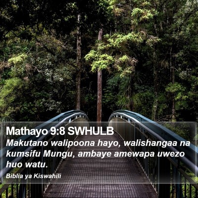 Mathayo 9:8 SWHULB Bible Verse Image
