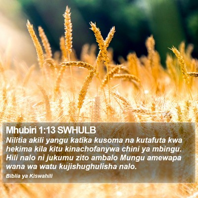 Mhubiri 1:13 SWHULB Bible Verse Image