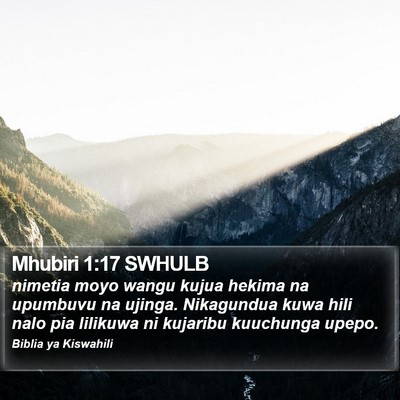 Mhubiri 1:17 SWHULB Bible Verse Image