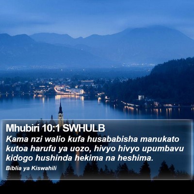 Mhubiri 10:1 SWHULB Bible Verse Image