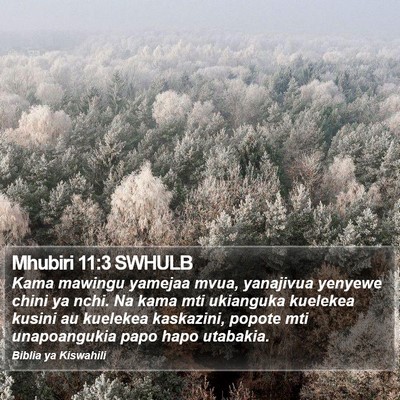 Mhubiri 11:3 SWHULB Bible Verse Image