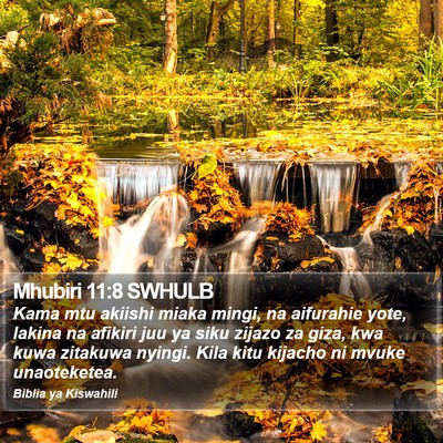 Mhubiri 11:8 SWHULB Bible Verse Image