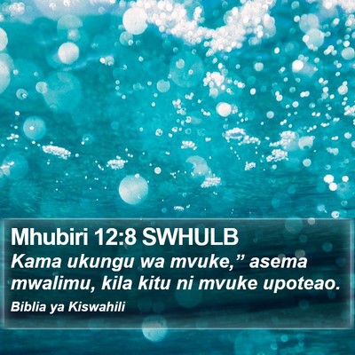 Mhubiri 12:8 SWHULB Bible Verse Image