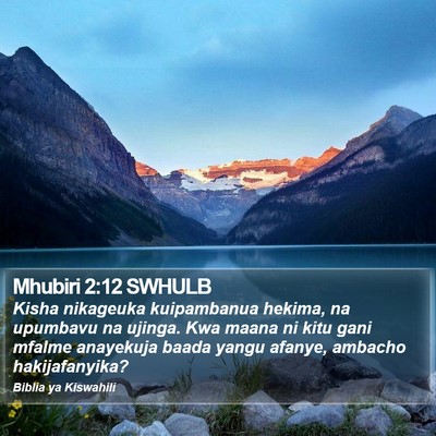 Mhubiri 2:12 SWHULB Bible Verse Image