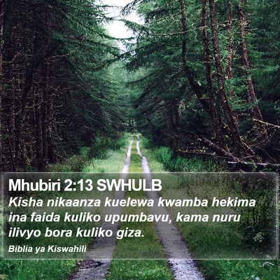 Mhubiri 2:13 SWHULB Bible Verse Image