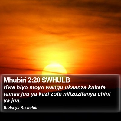 Mhubiri 2:20 SWHULB Bible Verse Image