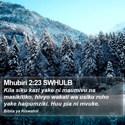 Mhubiri 2:23 SWHULB Bible Verse Image