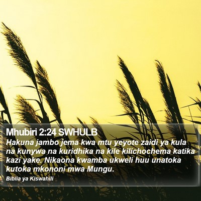 Mhubiri 2:24 SWHULB Bible Verse Image