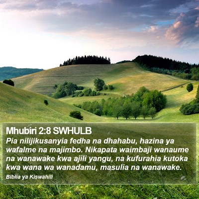 Mhubiri 2:8 SWHULB Bible Verse Image