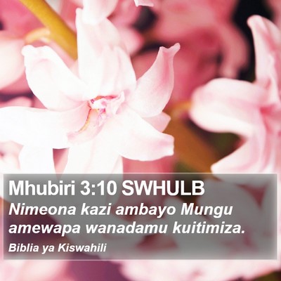 Mhubiri 3:10 SWHULB Bible Verse Image
