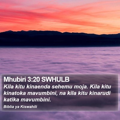 Mhubiri 3:20 SWHULB Bible Verse Image