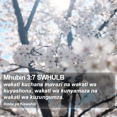 Mhubiri 3:7 SWHULB Bible Verse Image