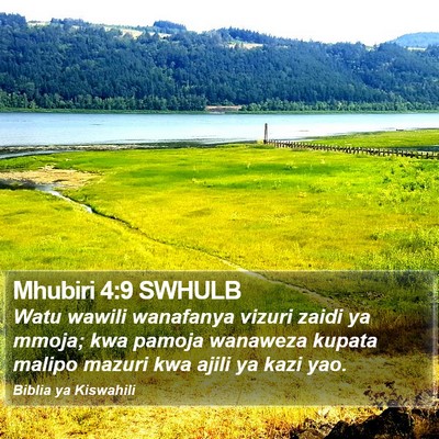 Mhubiri 4:9 SWHULB Bible Verse Image
